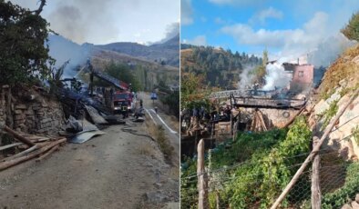 Yangında ev çöktü: Engelli 2 kardeş hayatını kaybetti!