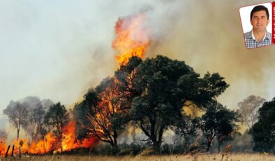 Yangınlarda zarar gören ormanlık alanlarda acı bilanço netleşti. Geçen yıldan daha fazla alan yandı: 30 bin hektar kül oldu!