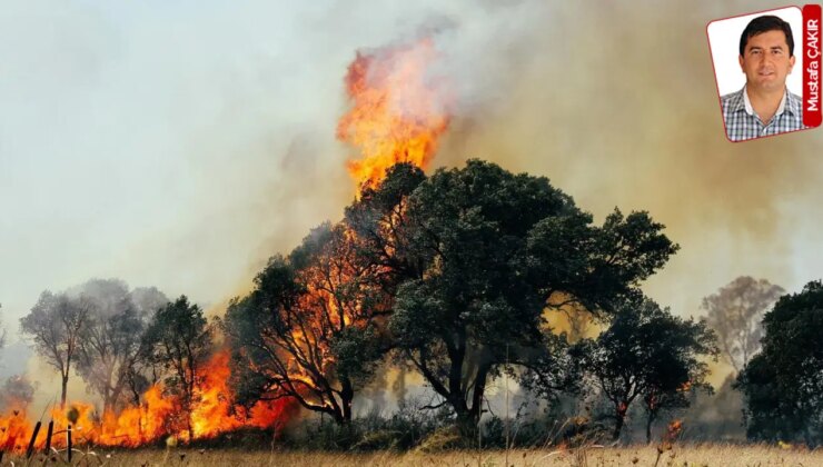 Yangınlarda zarar gören ormanlık alanlarda acı bilanço netleşti. Geçen yıldan daha fazla alan yandı: 30 bin hektar kül oldu!