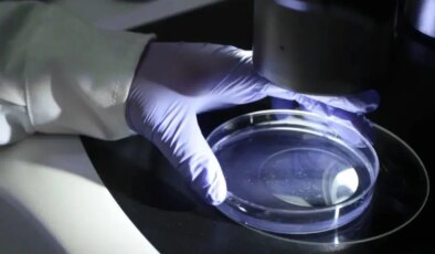 Yapay zeka sayesinde bakterileri öldüren virüs üretildi