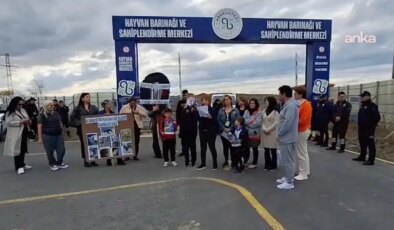 Yaşam Hakkı Savunucuları’ndan 4 Ekim açıklaması: Doğal yaşam alanları, doğal cehennem alanlarına dönüşüyor