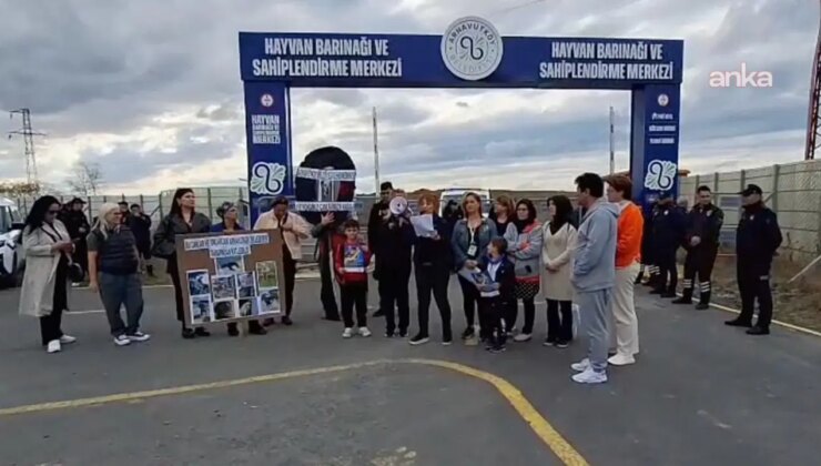 Yaşam Hakkı Savunucuları’ndan 4 Ekim açıklaması: Doğal yaşam alanları, doğal cehennem alanlarına dönüşüyor