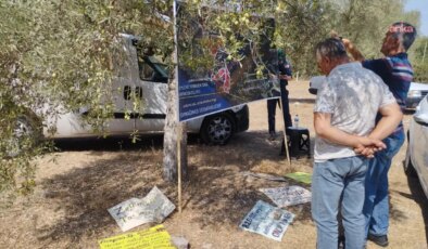 Zeytinlik kıyımı tasarısı AYM’nin gündeminde