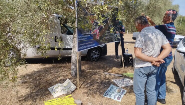 Zeytinlik kıyımı tasarısı AYM’nin gündeminde