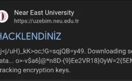 YDÜ UZEBİM’e Erişim Sağlanamıyor
