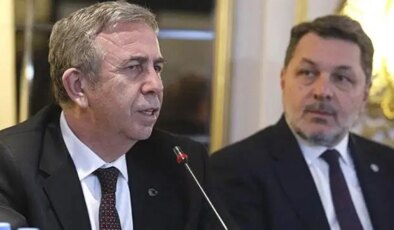 ABB Başkanvekilinden ‘Ankapark’ göndermesi: ‘Dinozorlara 801 milyon dolar harcanacağına…’