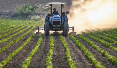 ABD’den o tarımsal ürünlere gümrük vergisi muafiyeti…