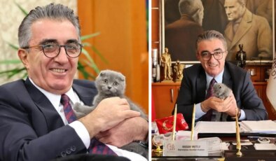 AKP’nin ‘çöktüğü’ Bayrampaşa’da, Hasan Mutlu’nun sahiplendiği kedi de binadan uzaklaştırılmak istendi