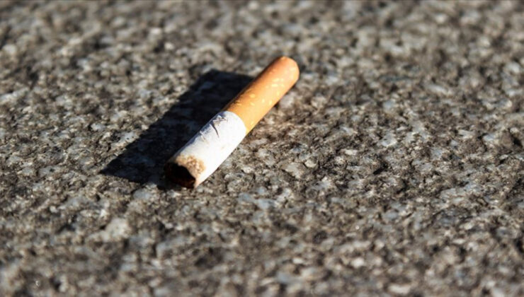 Almanya’da çevre kirliliğiyle mücadelede rekor cezalar: İzmarite 3 bin euro, moloza 100 bin euro