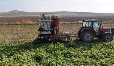 Ankara’da hasat tempo kesmiyor: Mesai gün doğmadan başlıyor…