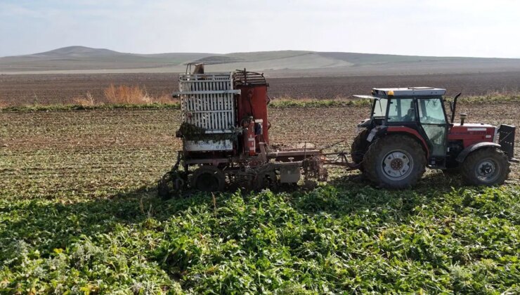 Ankara’da hasat tempo kesmiyor: Mesai gün doğmadan başlıyor…