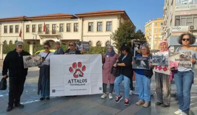 Antalyalı hayvanseverlerden İstanbul Valiliği’ne tepki