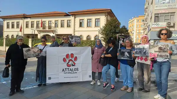 Antalyalı hayvanseverlerden İstanbul Valiliği’ne tepki