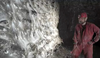 Arnavutluk-Yunanistan sınırında ‘dünyanın en büyük örümcek ağı’ bulundu