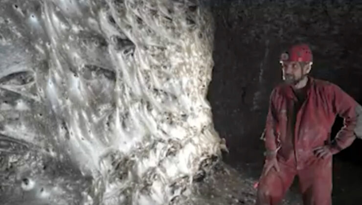 Arnavutluk-Yunanistan sınırında ‘dünyanın en büyük örümcek ağı’ bulundu