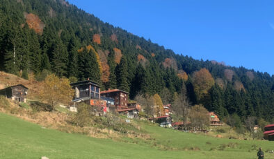 Ayder Yaylası’na teleferikle çıkılacak