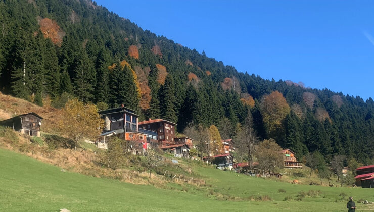 Ayder Yaylası’na teleferikle çıkılacak