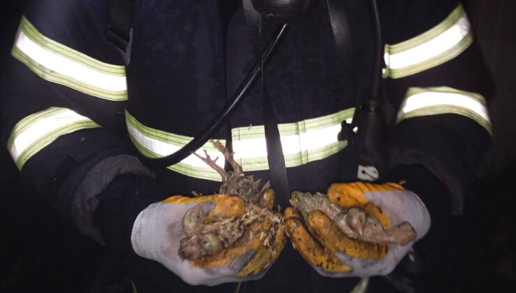 Balıkesir’de tavuk çiftliğinde yangın: 5 bin civciv öldü