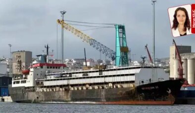 Bandırma’da ‘ithal hayvan’ skandalı: ‘120 hayvan öldü, limanda ağır koku’