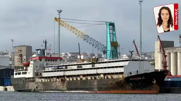 Bandırma’da ‘ithal hayvan’ skandalı: ‘120 hayvan öldü, limanda ağır koku’