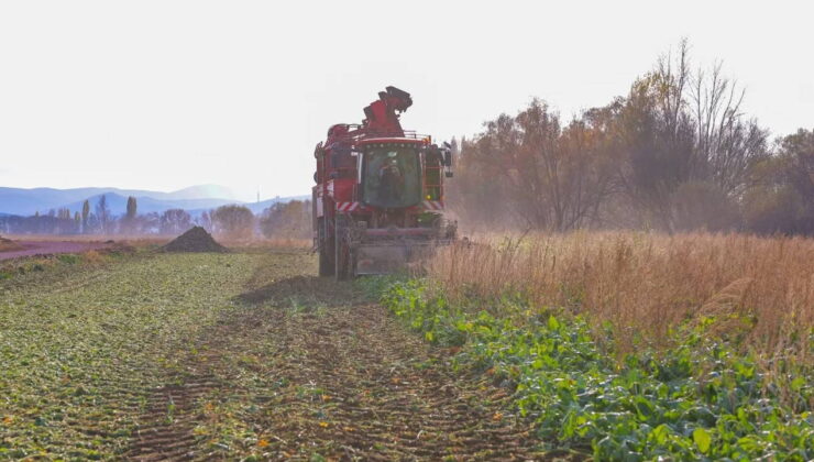 Bayburt’ta hasat başladı: 43 köyde üretiliyor…