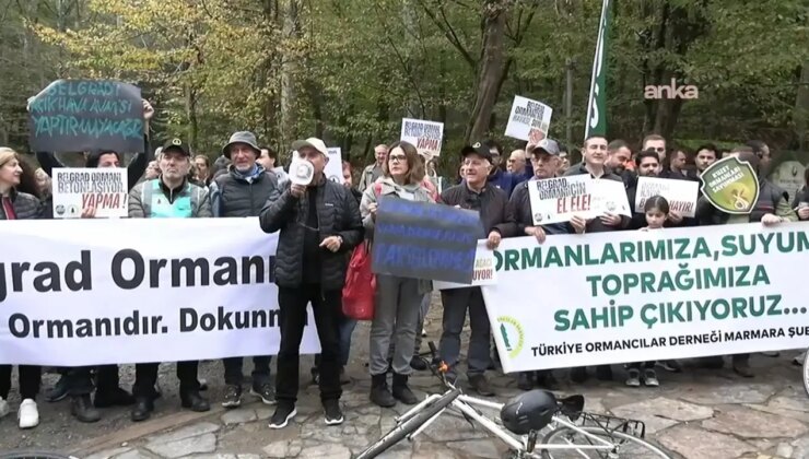 Belgrad Ormanı için yürüdüler: ‘1 milyon hektar alan ormancılık dışı kullanıma açıldı’