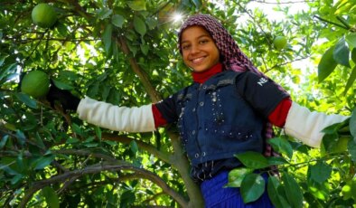 Binbir emekle toplanıyor: ‘Üstü açık fabrika’