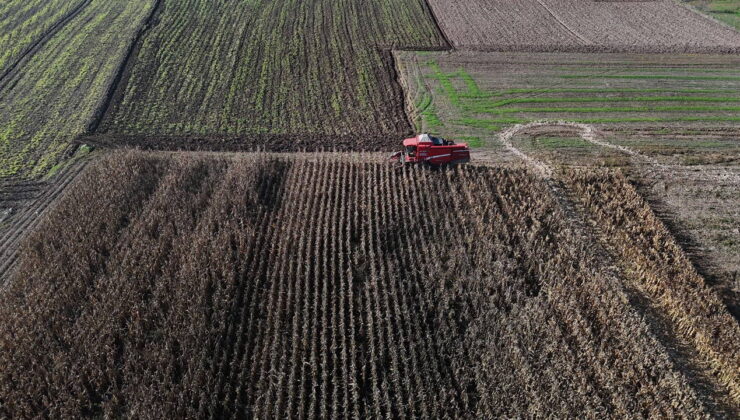 Bolu’da hasat başladı:  ‘Verim oranı düşük’