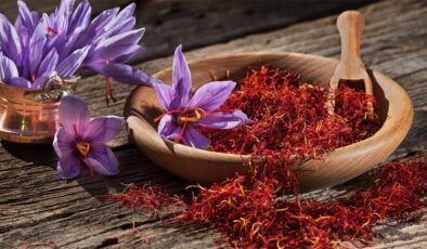 Bu baharatın kilosu 600 bin TL: Topraktan servet fışkırıyor