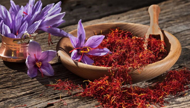 Bu baharatın kilosu 600 bin TL: Topraktan servet fışkırıyor