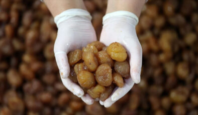 Bursa kestane şekeri ve İpsala pirinci AB’den coğrafi işaret tescili aldı