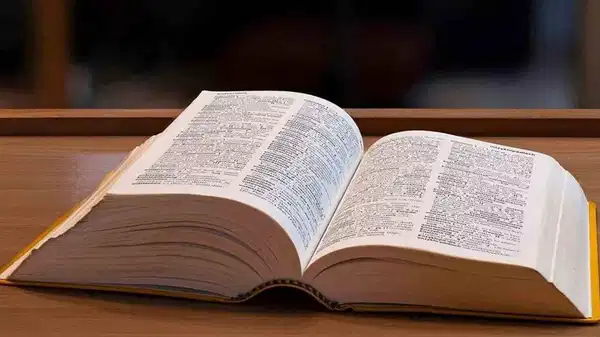 Cambridge Sözlüğü 2025’in kelimesini açıkladı: ‘Parasosyal’ ne demek?