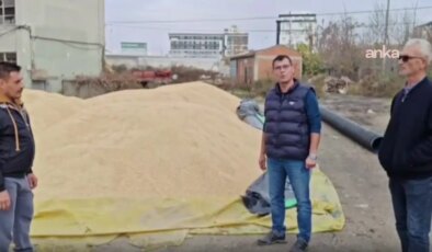 CHP’li Akgüngör’den TMO’ya çeltik alım fiyatı tepkisi: ‘Çiftçimizi desteklersek bu ülke var olur’