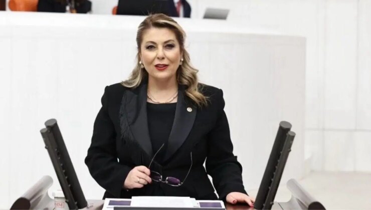 CHP’li Gezmiş’ten Dal-Çık Projesi tepkisi: ‘Sesli açılış, sessiz kapanış’