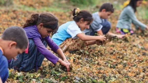 CHP’li isimlerden ‘Dünya Çocuk Hakları Günü’ mesajları