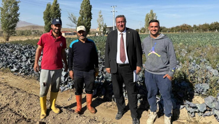 Çiftçi artık sigorta yaptırmıyor : ‘Maliyetini karşılamadığı için…’