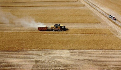 Çiftçilere 1,5 milyar liralık tarımsal destekleme ödemesi bugün