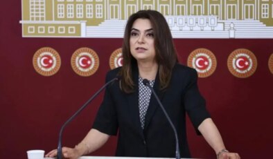 DEM Partili Gülistan Koçyiğit’ten dikkat çeken ‘İmralı’ çıkışı