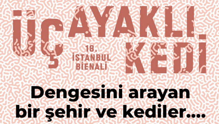 Dengesini arayan bir şehir ve kediler…