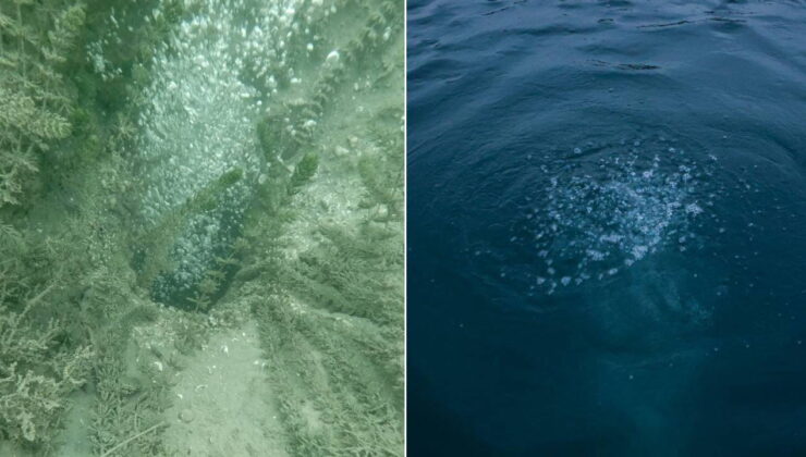 Depremin habercisi olabilir mi? Sapanca Gölü’nde tedirgin eden görüntü!