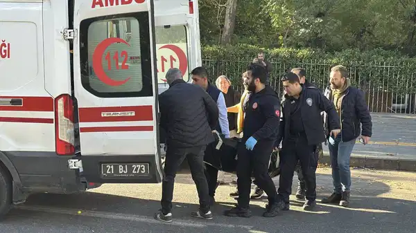 Diyarbakır’da aile katliamı… Annesi ile ağabeyini öldürdü!