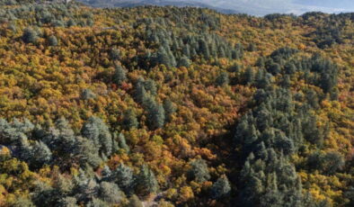 Dünyada sadece Isparta’da: İzinsiz girmenin cezası 557 bin TL