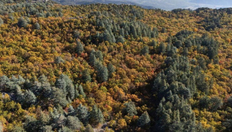 Dünyada sadece Isparta’da: İzinsiz girmenin cezası 557 bin TL