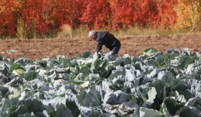 Eken az, müşterisi çok! 30 yıldır ailenin geçim kaynağı