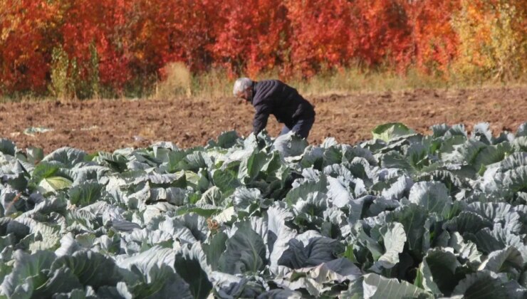 Eken az, müşterisi çok! 30 yıldır ailenin geçim kaynağı