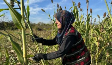 Ekiyor, hasat ediyor, kaynatıyor… Kadın girişimci siparişlere yetişemiyor!