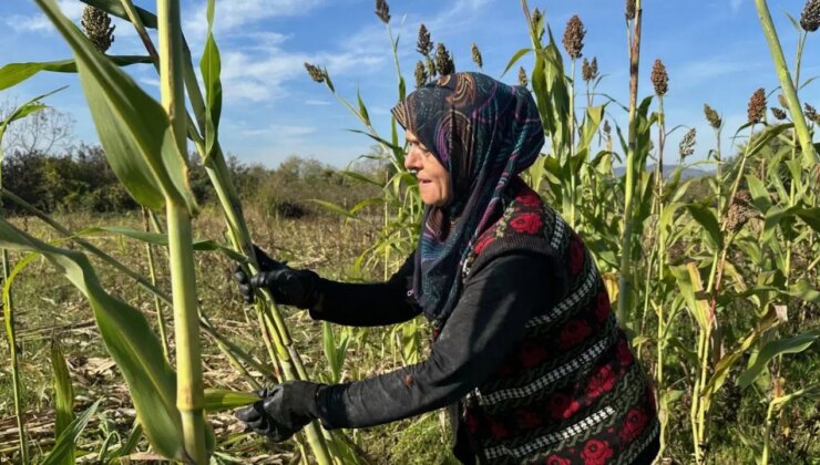 Ekiyor, hasat ediyor, kaynatıyor… Kadın girişimci siparişlere yetişemiyor!