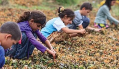 Erdoğan “Niye en az dört çocuk olmasın, beş olmasın?” dedi ama: Bu yıl 72 çocuk iş kazalarında hayatını kaybetti!