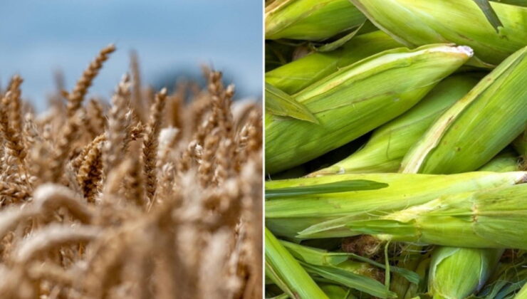 Erhan Adem’den mısır ve arpa ithalat kararına tepki:  Yarın sofradaki ekmek, yem, süt, et fiyatı artarsa sorumlusu yine çiftçi ilan edilecek