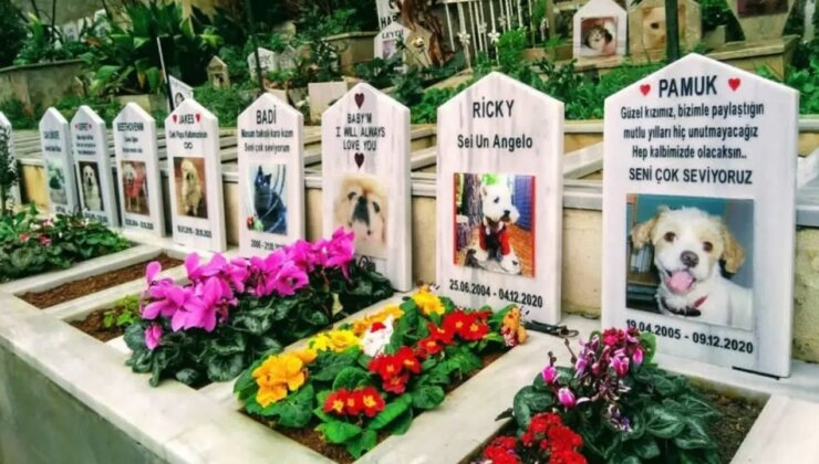 Evcil hayvan mezarlıklarında fiyatlar cep yakıyor: İstanbul’da 15 bin TL’ye defin!